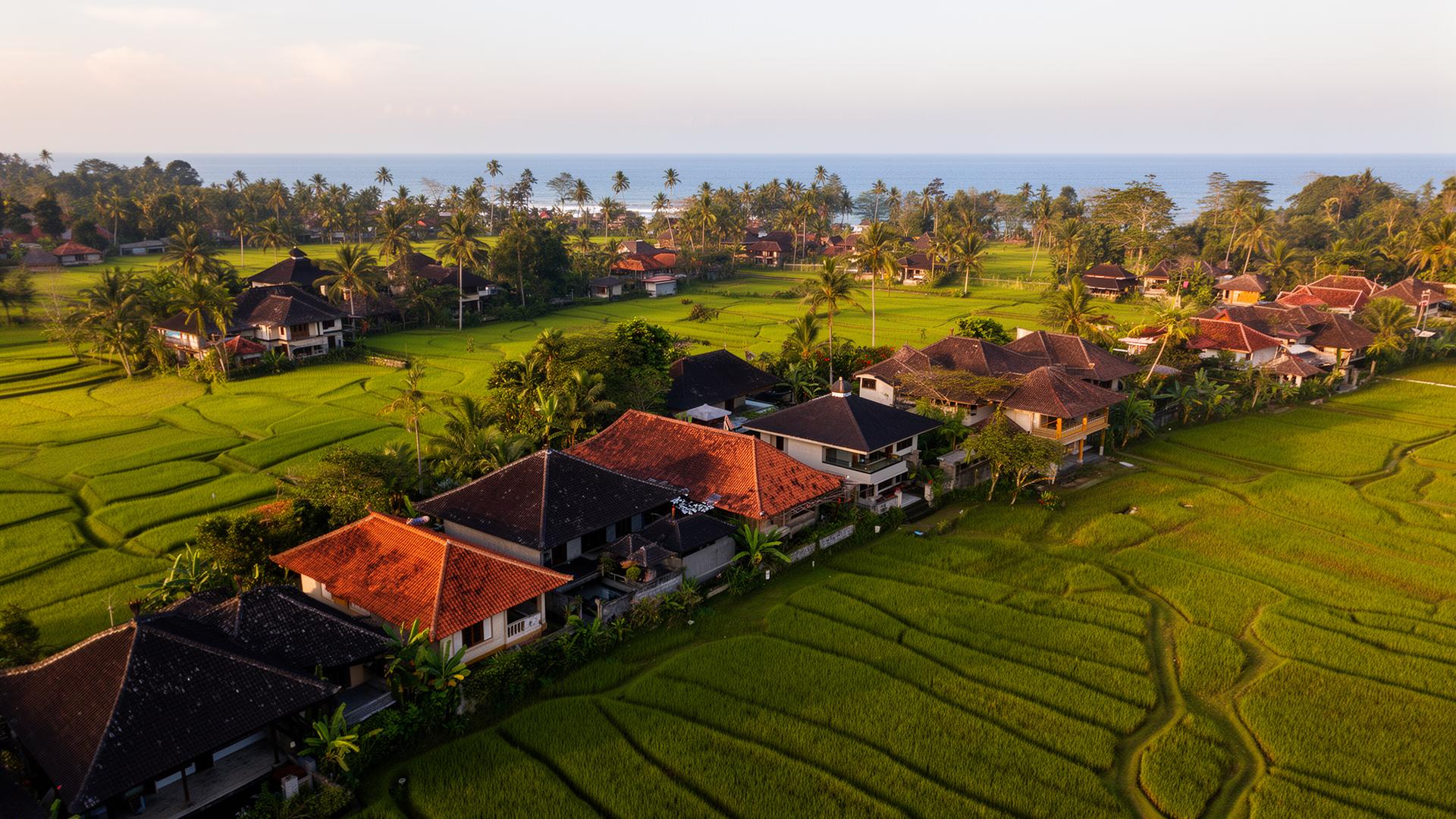 Luchtfoto van Pererenan Bali met rijstvelden en villa's tussen palmen